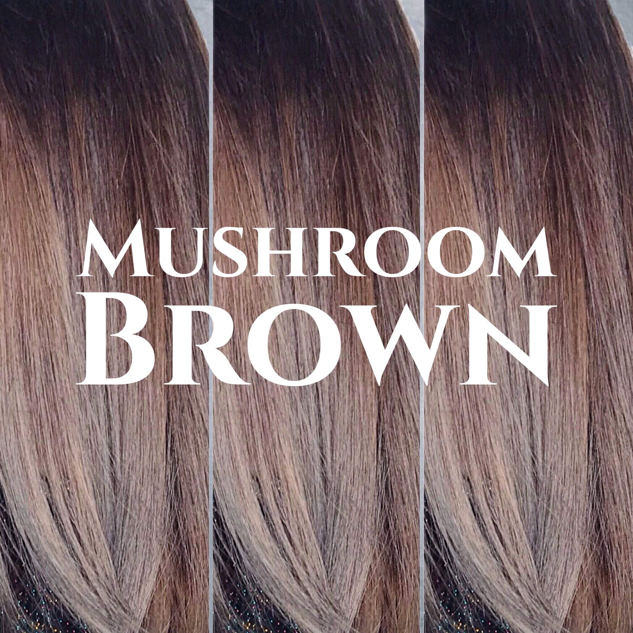 10 cool & stunning mushroom brown hair colouring ideas you will love | Top  Leading Hair Salon in Singapore and Orchard | Chez Vous